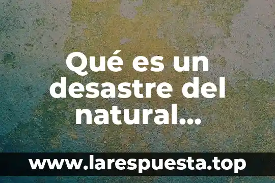 Qué es un desastre del natural tsunami