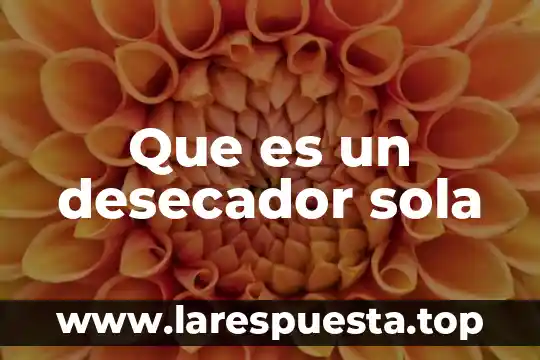 Que es corrector de voltaje isb sola basic 3 Que es un desecador sola