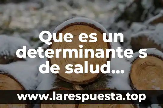 Que es la gestion en la salud 3 Que es un determinante s de salud mental