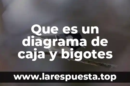 Que es un diagrama de ishicawa 8 Que es un diagrama de caja y bigotes