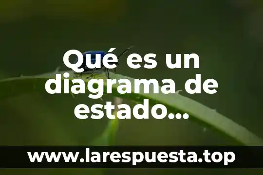 Qué es un diagrama de estado bromatología