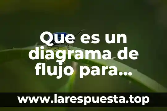 Que es el flujo de materia y energia 4 Que es un diagrama de flujo para ingenieria