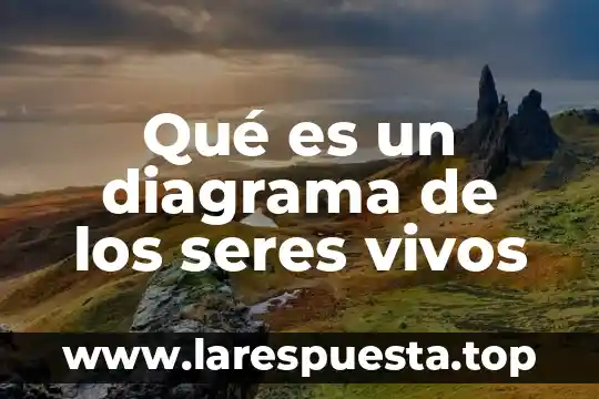 Qué es relacionarse con otros seres vivos 6 Qué es un diagrama de los seres vivos