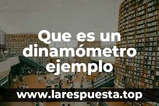 Qué es el teorema y un ejemplo 4 Que es un dinamómetro ejemplo