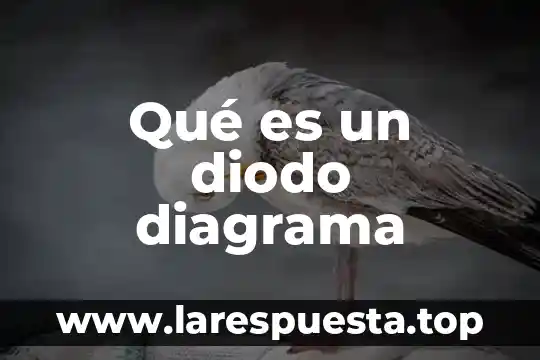 Que es un diagrama de ishicawa 3 Qué es un diodo diagrama