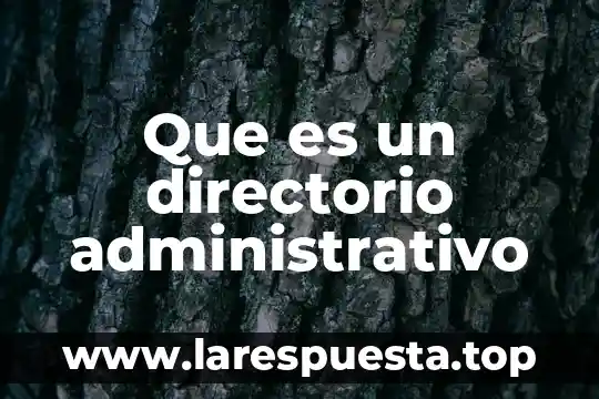 Que es un directorio para niños 7 Que es un directorio administrativo