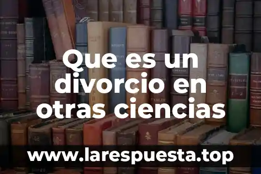Que es moldes troqueles negativos y otras partidas análogas 8 Que es un divorcio en otras ciencias
