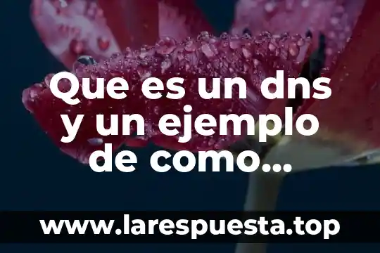 Que es un dns y un ejemplo de como funciona