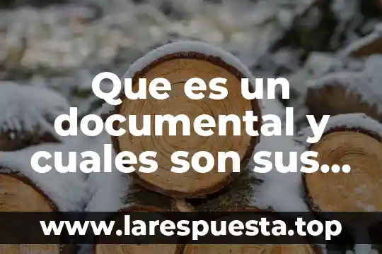 Qué es codificación documental 6 Que es un documental y cuales son sus caracteristicas