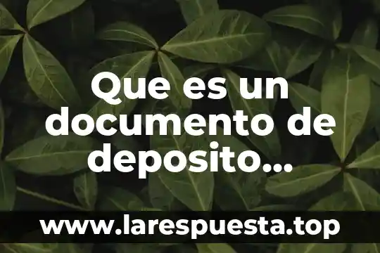 Que es un documento de deposito monetario