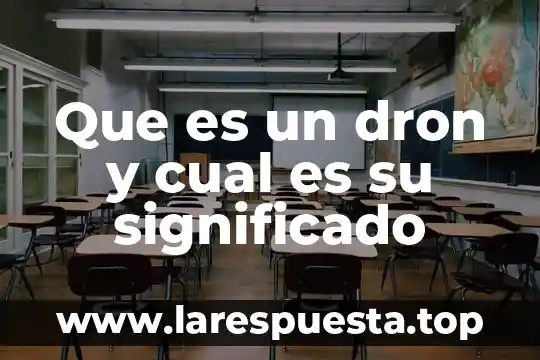 Que es un dron y cual es su significado