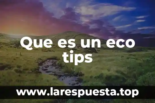 Que es eco en electronica 5 Que es un eco tips