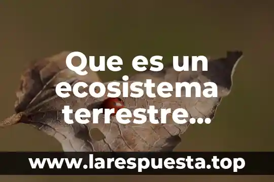 Que es un ecosistema terrestre explicacion para niños