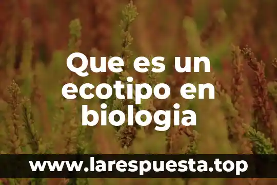 Que es una persona mas simple 3 Que es un ecotipo en biologia