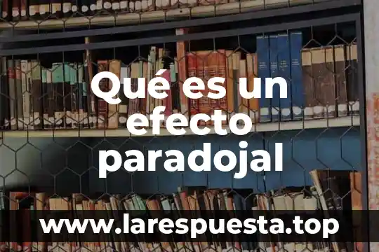 Que es el efecto exchange bias 8 Qué es un efecto paradojal