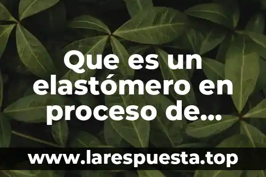 Que es un elastómero en proceso de manufactura
