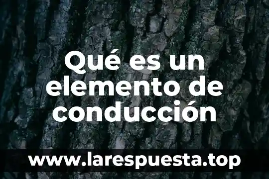 Que es un elemento de consumo 8 Qué es un elemento de conducción