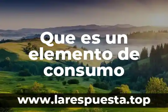 Qué es un elemento de conducción 5 Que es un elemento de consumo