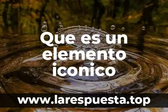 Que es un elemento indeterminado 6 Que es un elemento iconico