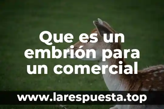 Que es un embrión para un comercial
