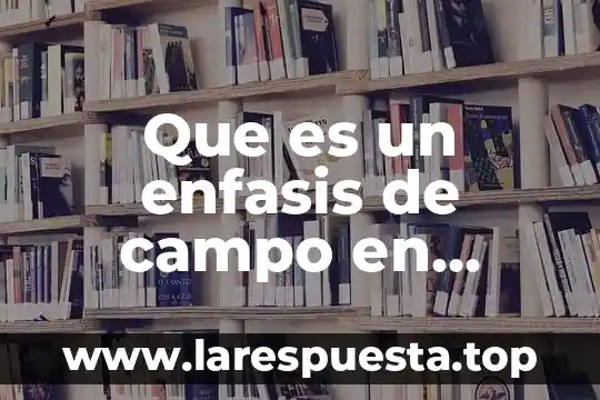 Que es un enfasis de campo en informatica
