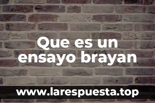 Que es un ensayo brayan