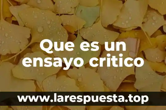 Que es un ensayo critico