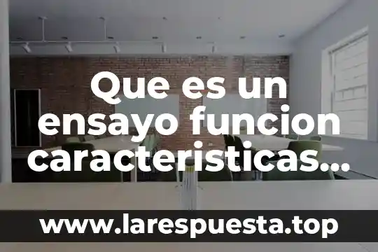 Que es funcion subsidiaria 6 Que es un ensayo funcion caracteristicas y como se elabora