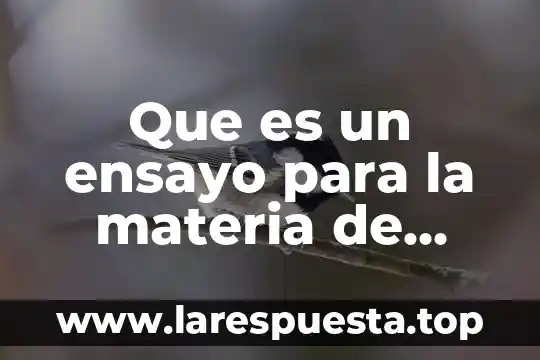Que es un ensayo para la materia de español