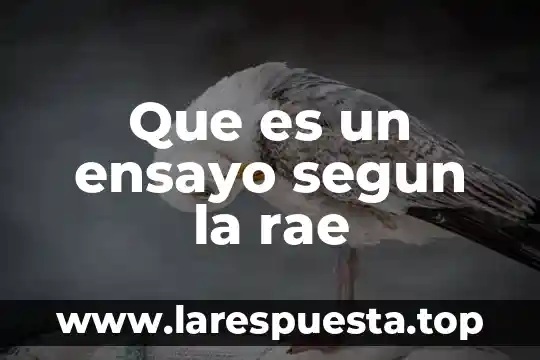 Qué es un acto bueno y un acto malo 8 Que es un ensayo segun la rae