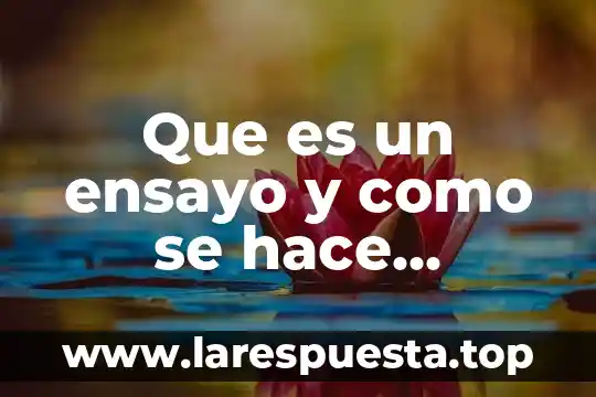 Que es un ensayo y como se hace ejemplos