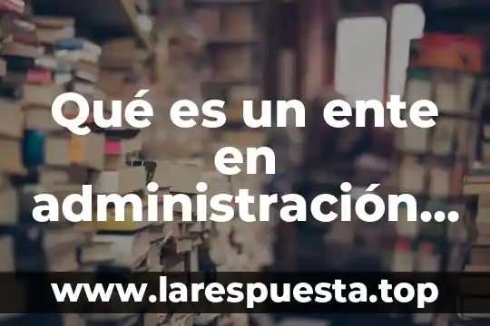 Qué es un ente en administración de empresas