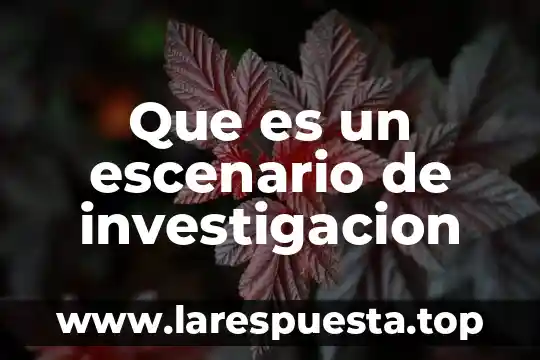 Que es un escenario en el cuento 7 Que es un escenario de investigacion