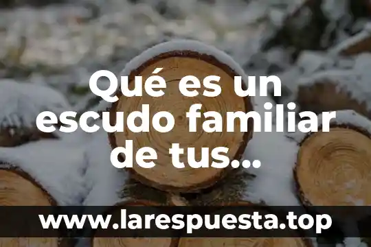 Qué es un escudo familiar de tus apellidos