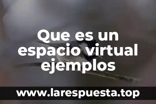 Que es un espacio virtual ejemplos