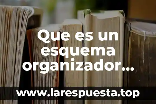 Que es un esquema organizador ejemplos