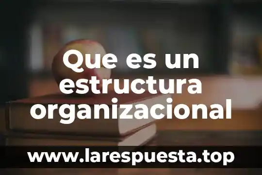 Que es un estructura organizacional
