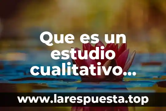 Que es el analisis cualitativo de pronosticos 8 Que es un estudio cualitativo segun sampieri
