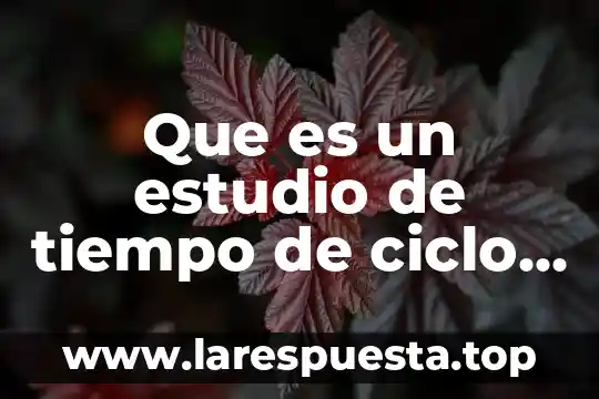 Que es ciclo fisica 8 Que es un estudio de tiempo de ciclo corto