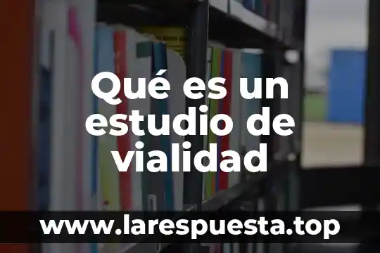 Qué es un estudio de vialidad