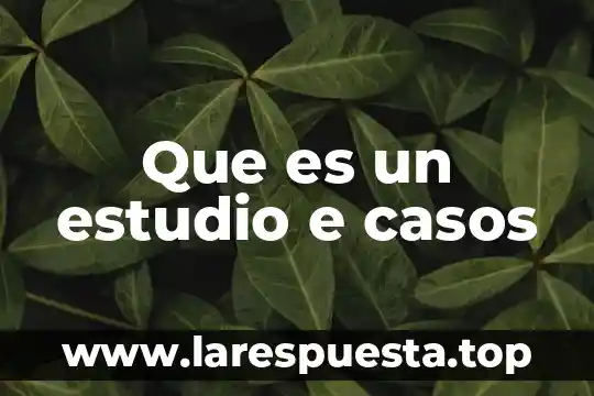 Que es un estudio e casos