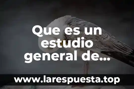 Que es la enciclopedia historia general de la educacion 5 Que es un estudio general de auditoria