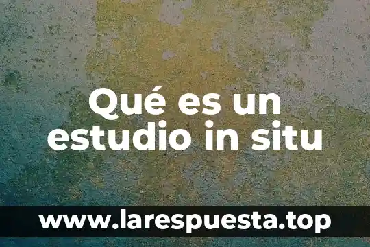 Que es master in business administration 8 Qué es un estudio in situ