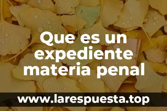 Que es un expediente materia penal