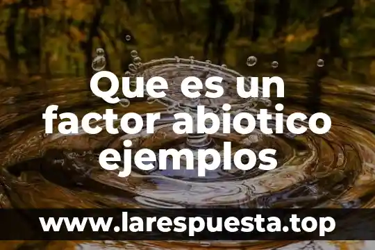 Qué es el máximo factor común Yahoo 5 Que es un factor abiotico ejemplos