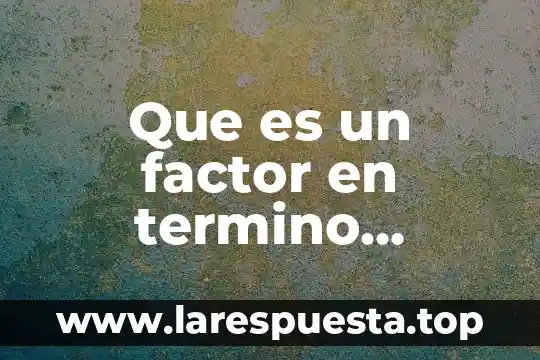 Qué es prisma pirámide en término matemático 7 Que es un factor en termino matematico