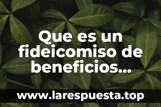 Que es un fideicomiso de beneficios sociales