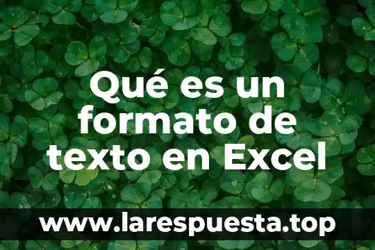 Que es un rango disjunto en excel 7 Qué es un formato de texto en Excel