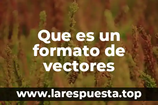Que es un sistema de vectores y todos sus vectores 5 Que es un formato de vectores