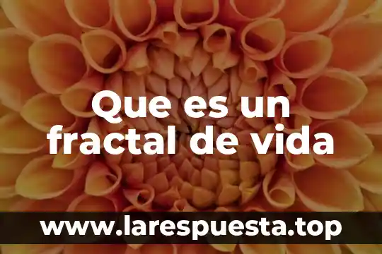 Qué es el treyecto de vida 6 Que es un fractal de vida